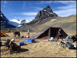 Base Camp at Condoriri