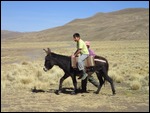 Riding a burro